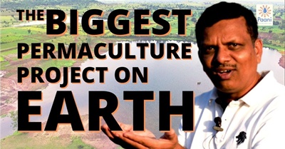 India's Water Revolution #2: The Biggest Permaculture Project on Earth! with the Paani Foundation