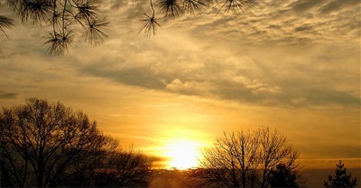 If somebody tells you that young people don’t care about the planet’s future, tell them to watch This