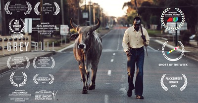 Grey Bull - A Short Film About Connection and Belonging