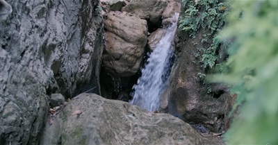 Nature's Solution to the Water Crisis