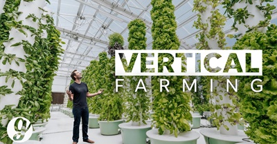 Next Gen Farming Without Soil and 90% Less Water