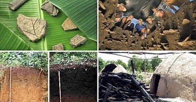 Biochar - In Five Minutes