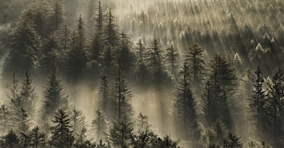 No Single Project Is the Magic Acorn: How All Our Efforts are Working Together