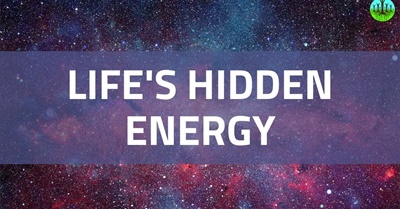 Life's Hidden Energy (with Jeddah Mali)