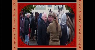 2016 Banagher Horse Fair