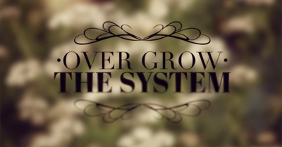 Vandana Shiva : Why We Must Respect & Support Our Organic Farmers