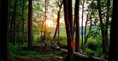 The Emotional Wallop of My Friend’s Green Burial