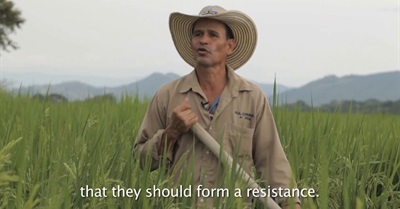 In Solidarity - En Solidaridad