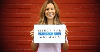 Who Spoke Up for Animals in 2012?