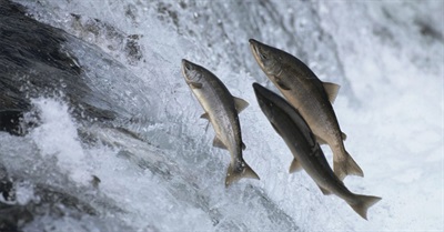 We Are Those Who Are on the Side of the Living. and We Are Going to Win