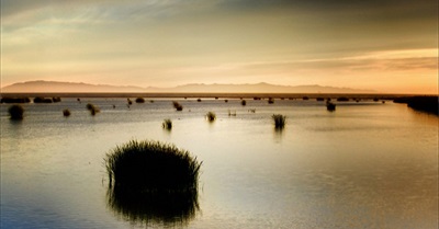 How We Understand the Crisis Is Part of the Crisis