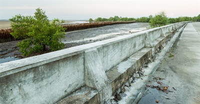 Mangroves : Reducing the Risk of Disaster Through Nature-Based Solutions