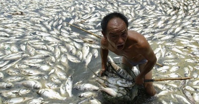 The Great Grief: How to Cope With Losing Our World