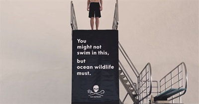 Sea Shepherd Did to a Swimming Pool What Humans Do to the Oceans.