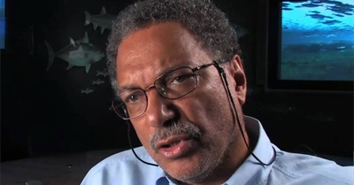 Against ‘Sustainability’ and Other Plastic Words