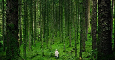 Reconnecting With a Life Dream, a Very Personal Recount