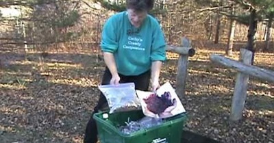 Vermicomposting 101