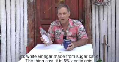 Ocean Acidification Experiment