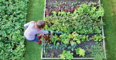 The Fastest, Easiest And Cheapest Way To Fertilize Your Garden Written by: JD Lara