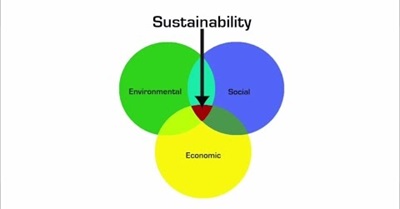 What Is Sustainability?
