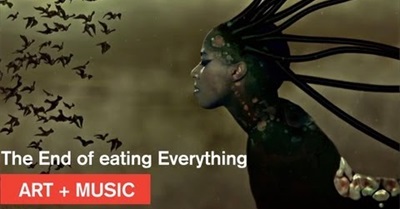 Wangechi Mutu + Santigold - The End of Eating Everything - Nasher Museum at Duke