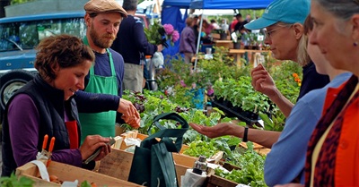 Ten Ways We Can Build a Better Economic System