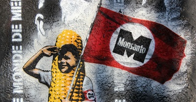 'On the Offensive' Against Monsanto, France Removes Roundup from Store Shelves