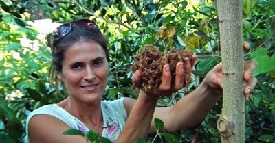 Permaculture Paradise: Val & Eli's Fall Chop & Drop!