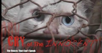 Cry of the Innocent