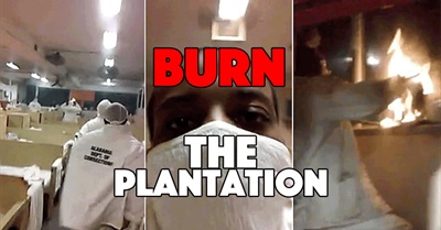 Burn Down the Plantation