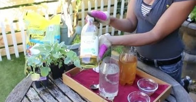 How to Use Natural Insecticides for a Vegetable Garden