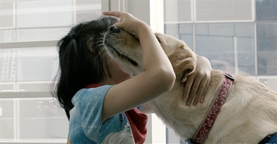 The Dogtor Is In! Meet Telly the Therapy Dog