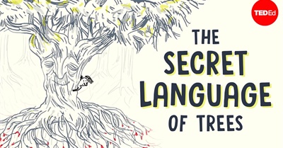 The Secret Language of Trees