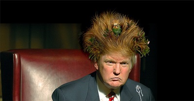 Scotland 5. Donald Trump 0. What Price America?