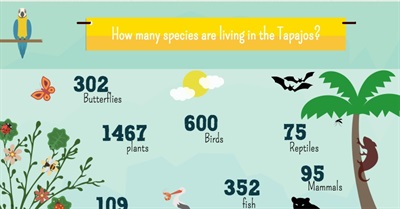 Infographic: The Heart of the Amazon Faces a Serious Threat. Here's What You Need to Know