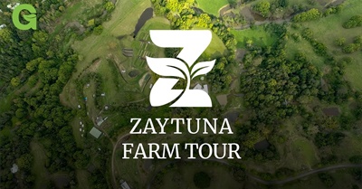 Theory in Practice: A Tour of Zaytuna Farm