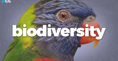 Biodiversity is Collapsing Worldwide. Here's Why.