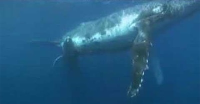 Huntington Beach Ca.