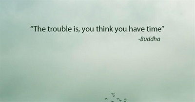 The Insanity of NOT Being #Stillsanders