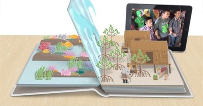 Marvellous Mangroves // Mangrove Education - Sustainable Learning