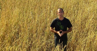 Deconstructing Dinner: Reconstructing Our Food System (Ep.3 Wheat)