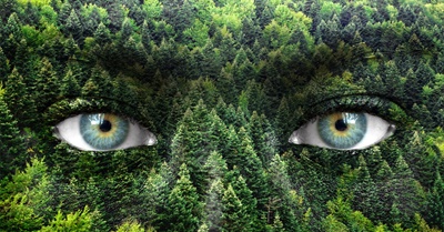 Do You Feel Nature’s Pain?