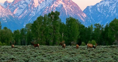 There Will Soon Be Oil and Gas Drilling in Up to 42 National Parks