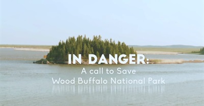 In Danger - A Call to Save Wood Buffalo National Park