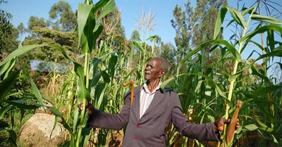 Decolonisation Involves More Than Simply Turning Back the Clock