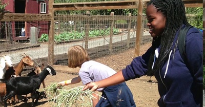 Bay Area Green Tours Supporting Sustainability Tours for Under-Represented Youth