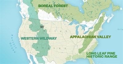 Setting Aside Half the Earth for 'Rewilding': The Ethical Dimension