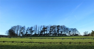 Snow Scape - BLINDEYE. - A Visual Meditation Series