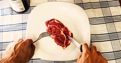 PBS FRONTLINE's "Modern Meat" and "The Trouble With Chicken" (A Films for Action Double Feature)