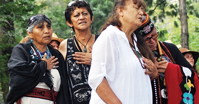 When the Grandmothers Awoke